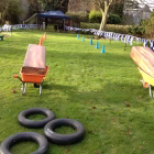 Corporate group taking part in Celtic Games team building in Ireland