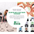Belbin Ireland