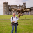 Falconry experience for corporate groups