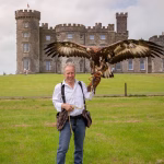 Falconry experience for corporate groups