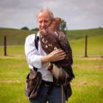 Falconry Experience
