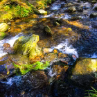 Glendalough Adventure  scaled
