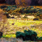 Glendalough Adventure
