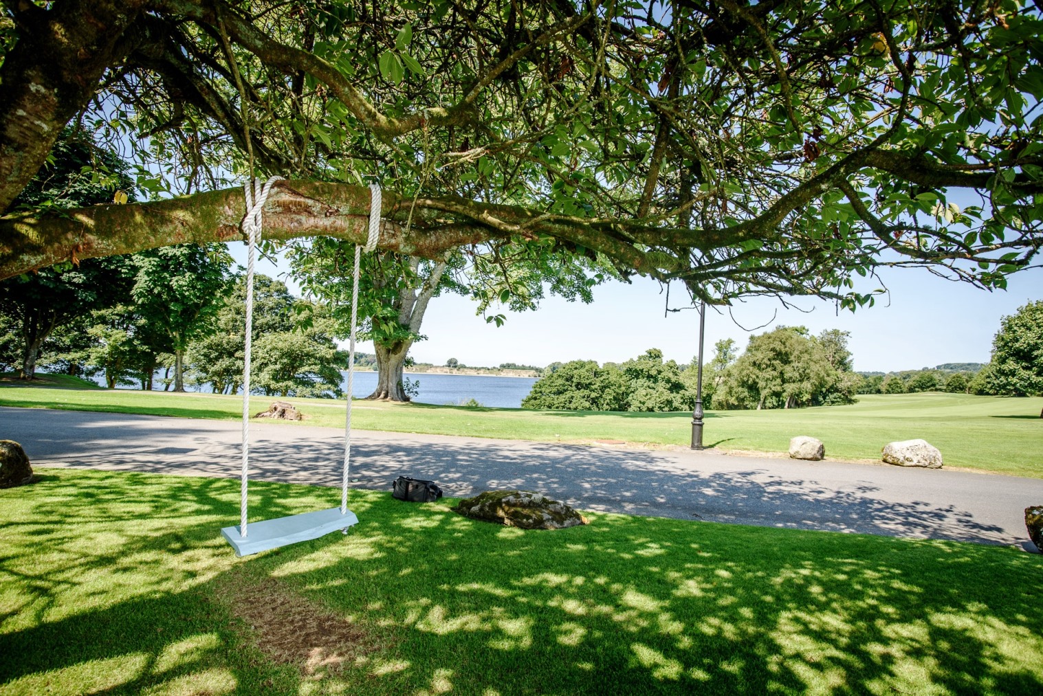 Tulfarris Hotel Golf Resort Swing overlooking Blessington lakes