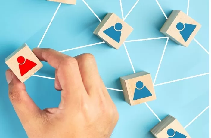 Belbin Collaborative Leadership