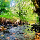 Tipi Adventures Ireland
