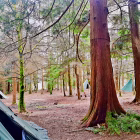 Tipi Adventures Ireland
