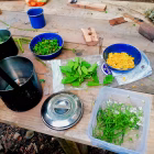 Tipi Adventures Ireland