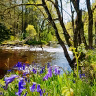 Tipi Adventures Ireland