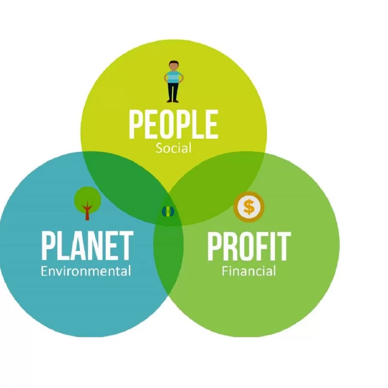 CSR & Sustainability