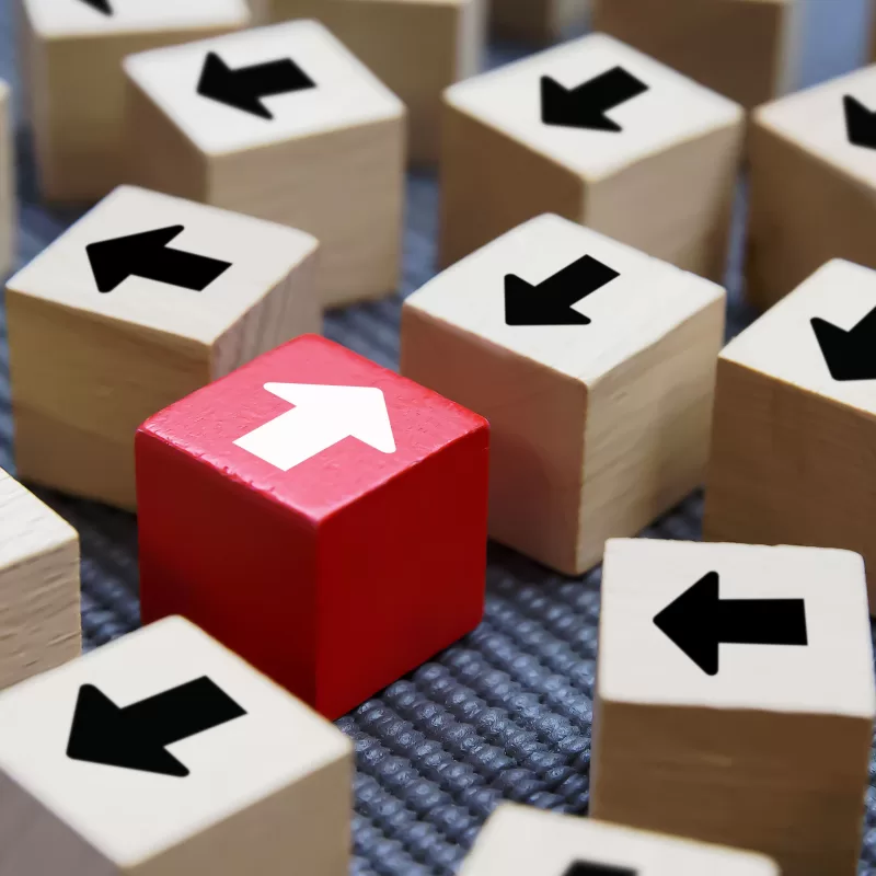 TeamBuilding OrganisationalCulturalChange()