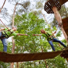 Team Building Organisational Cultural Change