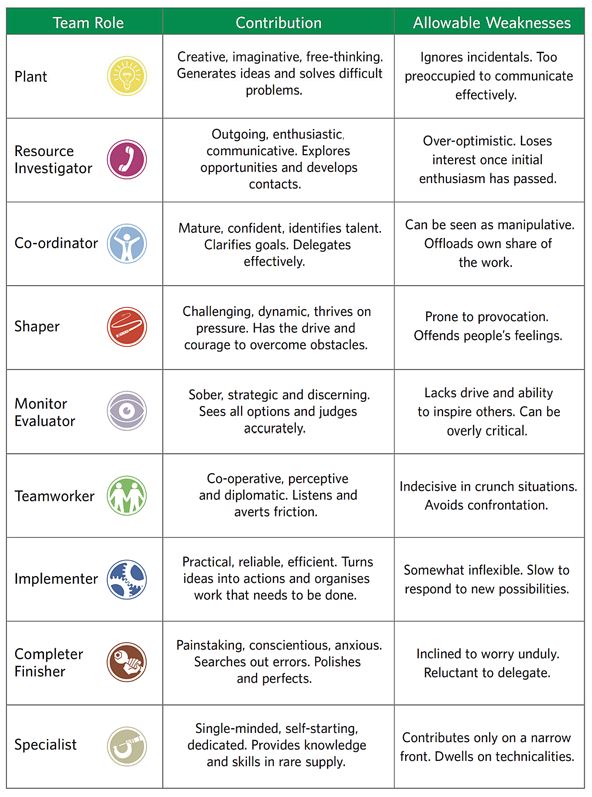 Belbin 9 Team Roles