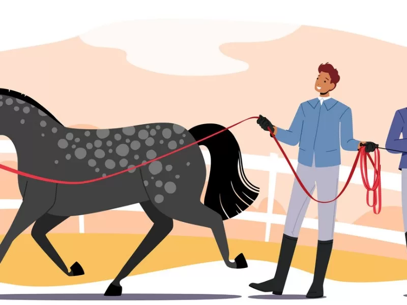 Equine Leadership Training