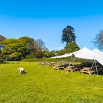 Event Square team building at Belmont Demesne