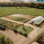 Aerial view of the organic garden at Fitzgeralds Woodlands House Hotel