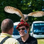 Celtic Games participant enjoying a falconry experience in Ireland