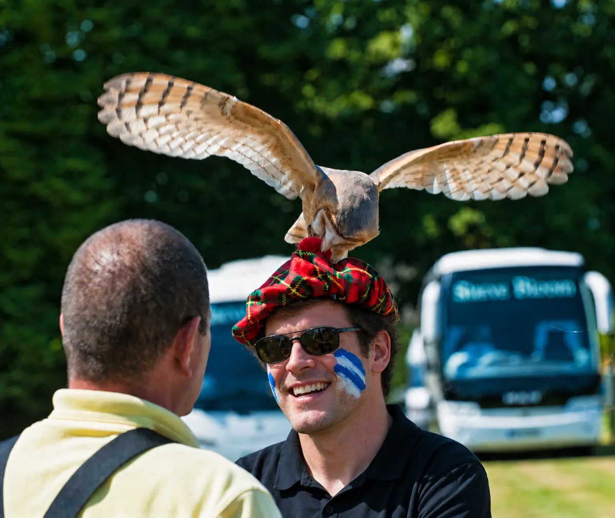 celtic-games-face-v2-optimised Celtic Games participant enjoying a falconry experience in Ireland